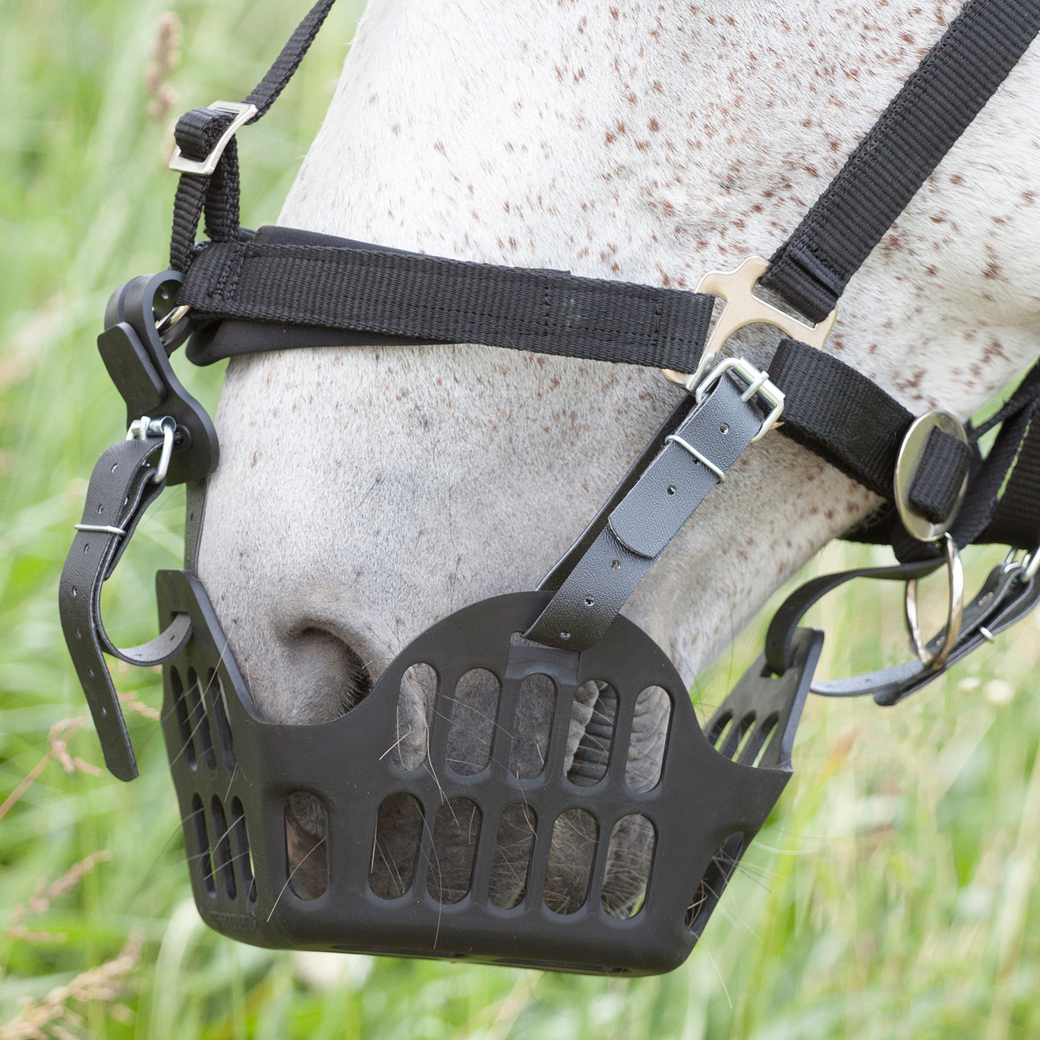 GREENGUARD® Set - Fressstop muilkorf met houder, VB