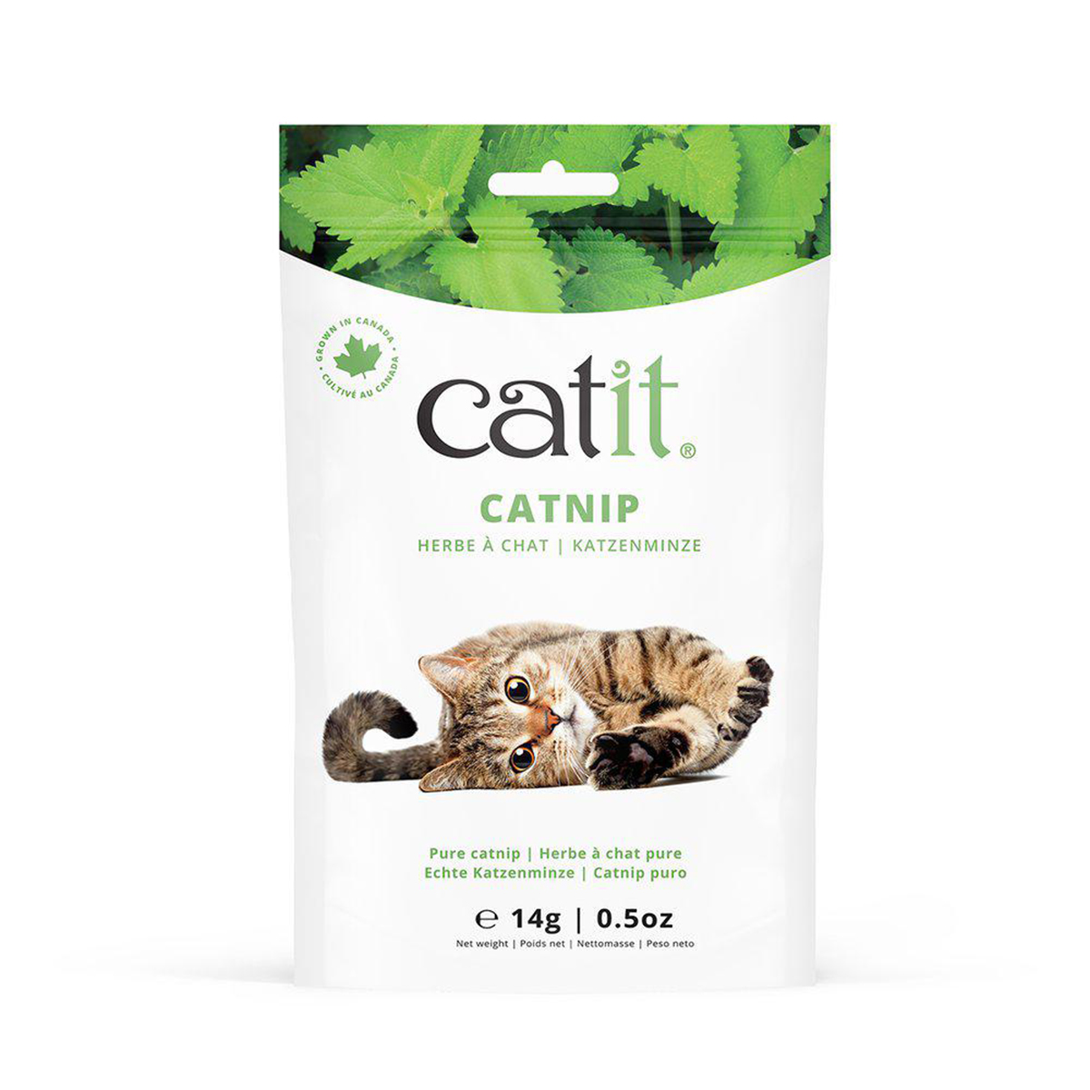 Catnip Katteurt 14 g