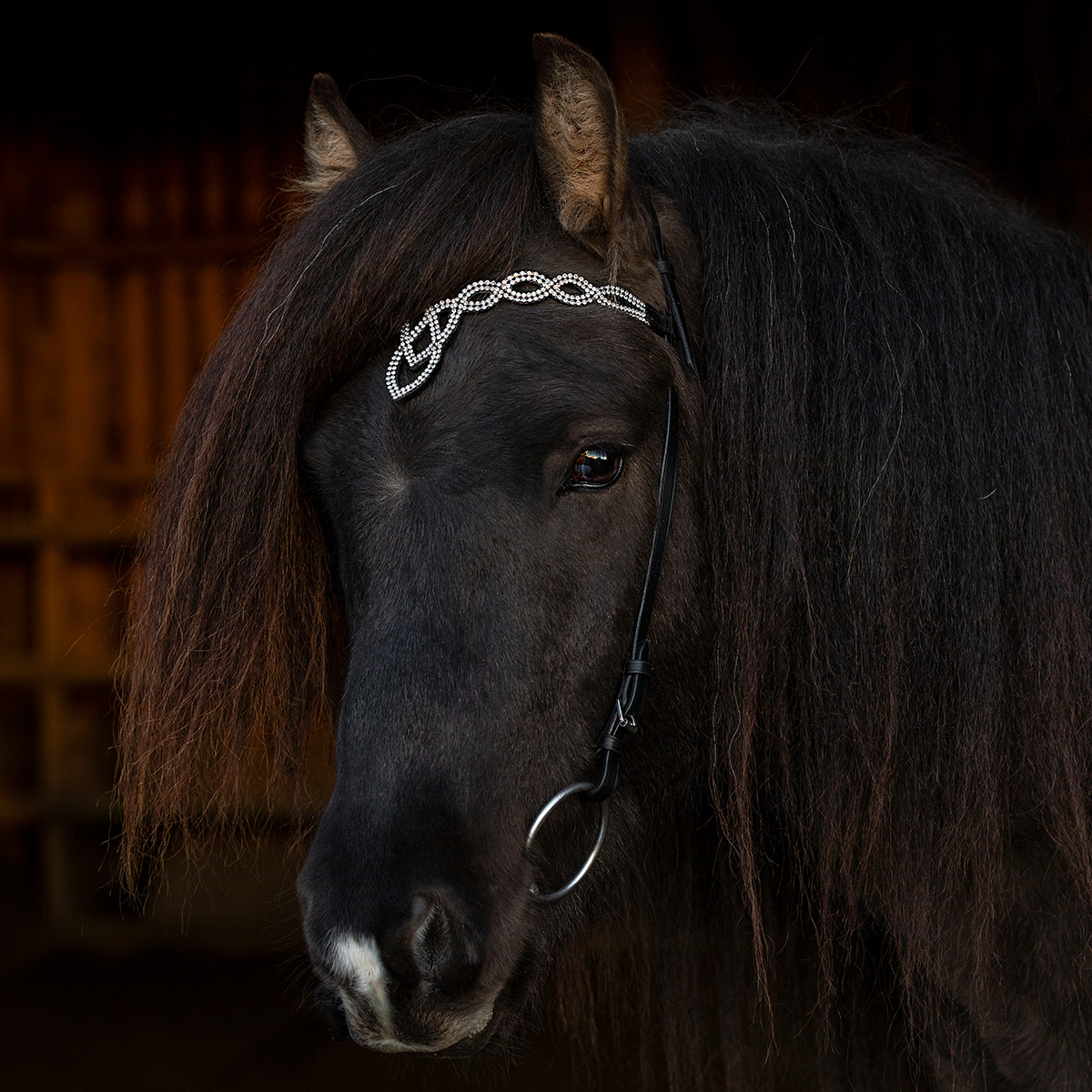 Islandske Trenser Hesteyri