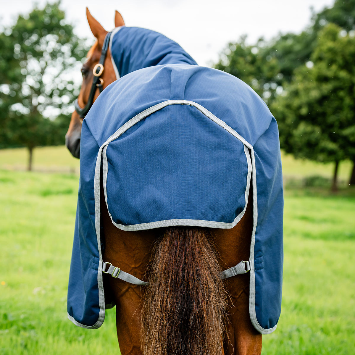 Amigo ripstop 900 original 100g