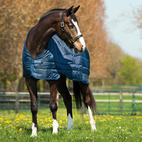 Horseware Liner 200 g