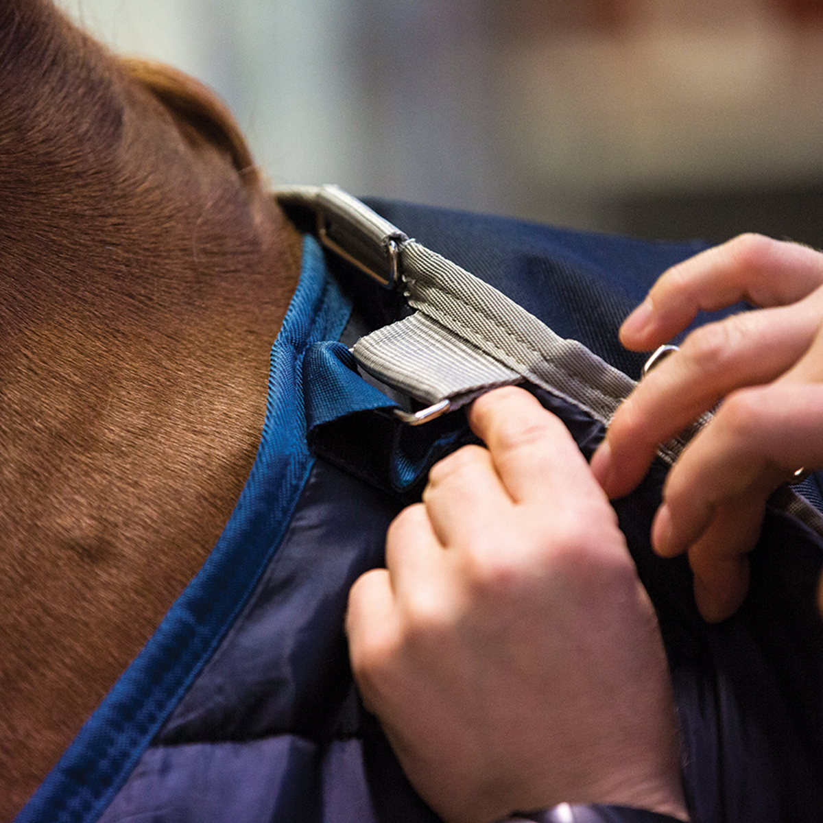 Horseware Liner 200 g