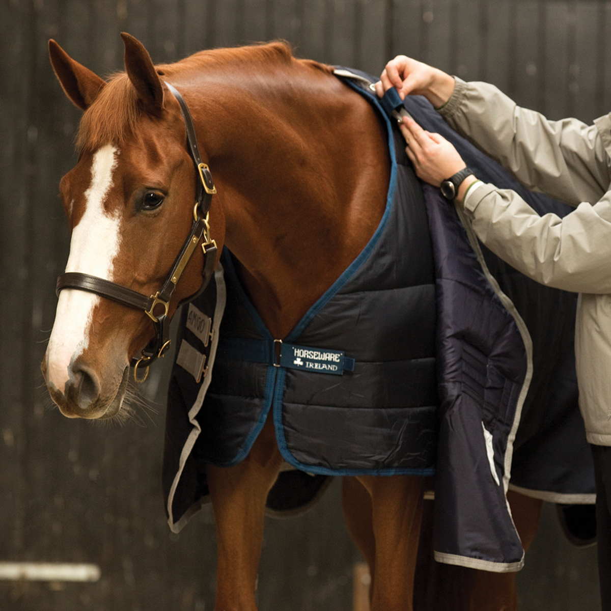 Horseware Liner 200 g