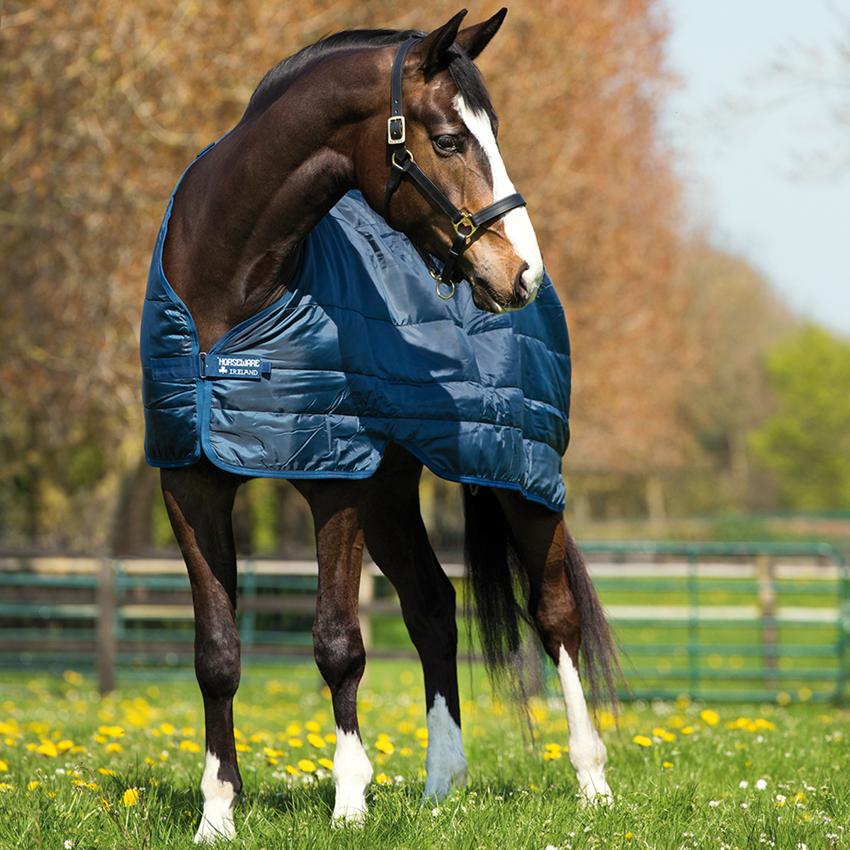 Horseware Liner 100g