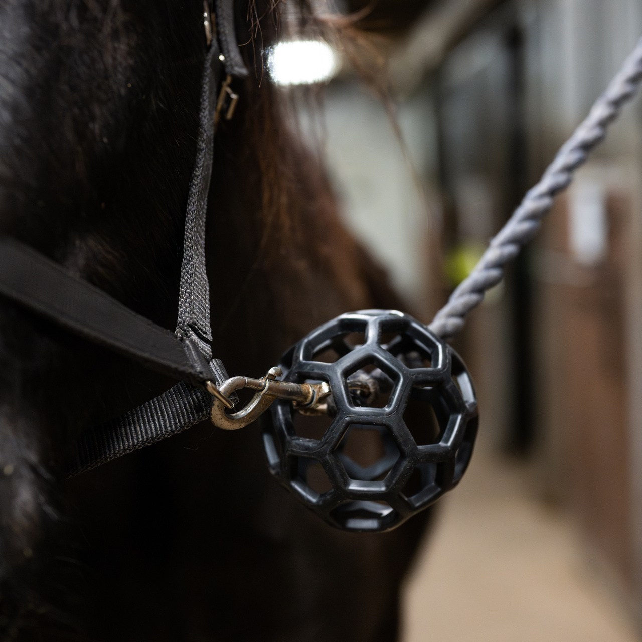 Grimskafts boll Guard