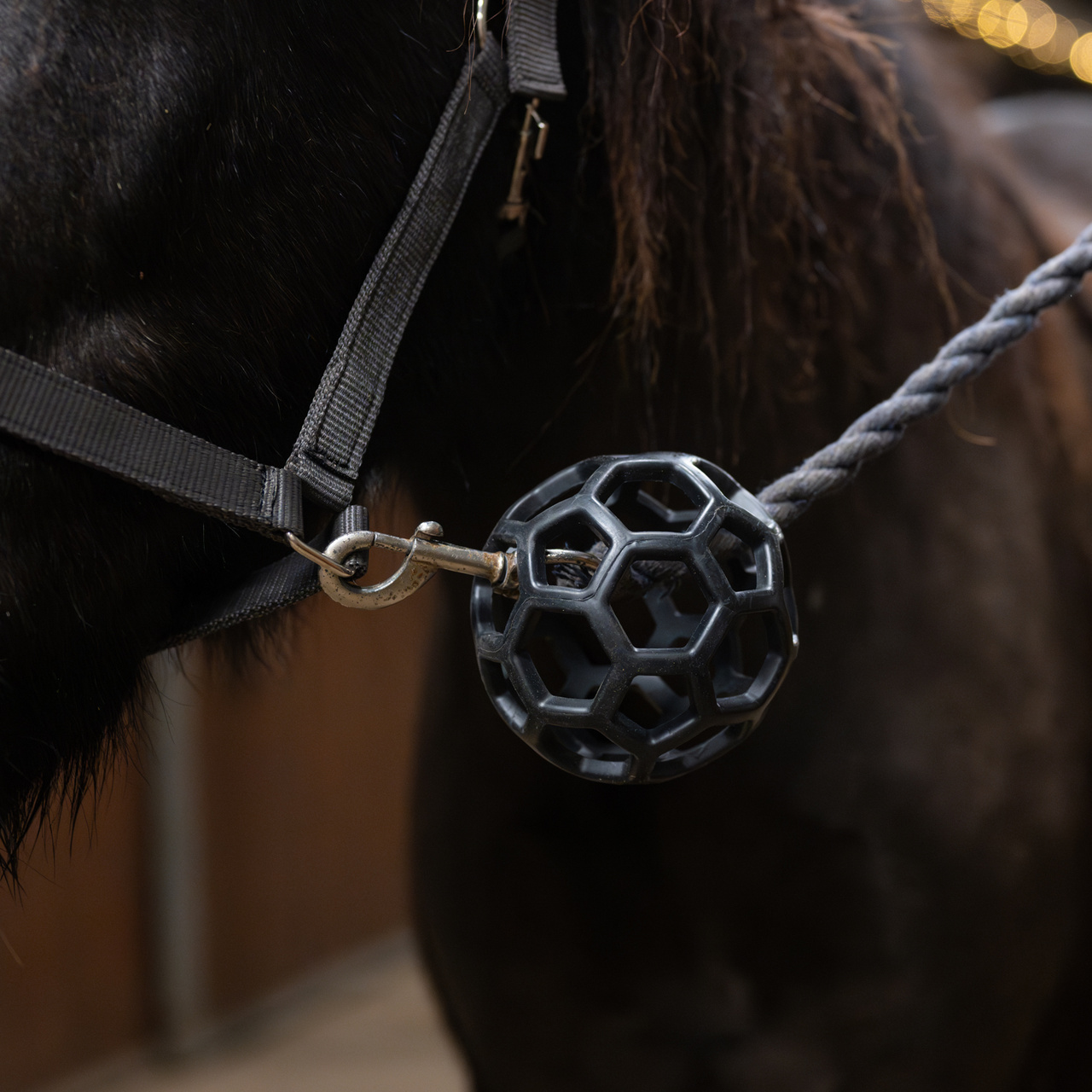 Grimskafts boll Guard