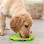 Lick`n´Snack platta 17 cm