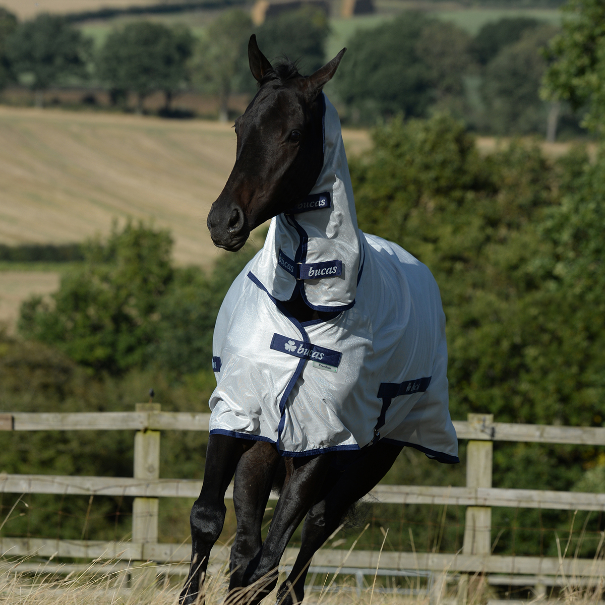 Flugtäcke Freedom Fly Bucas