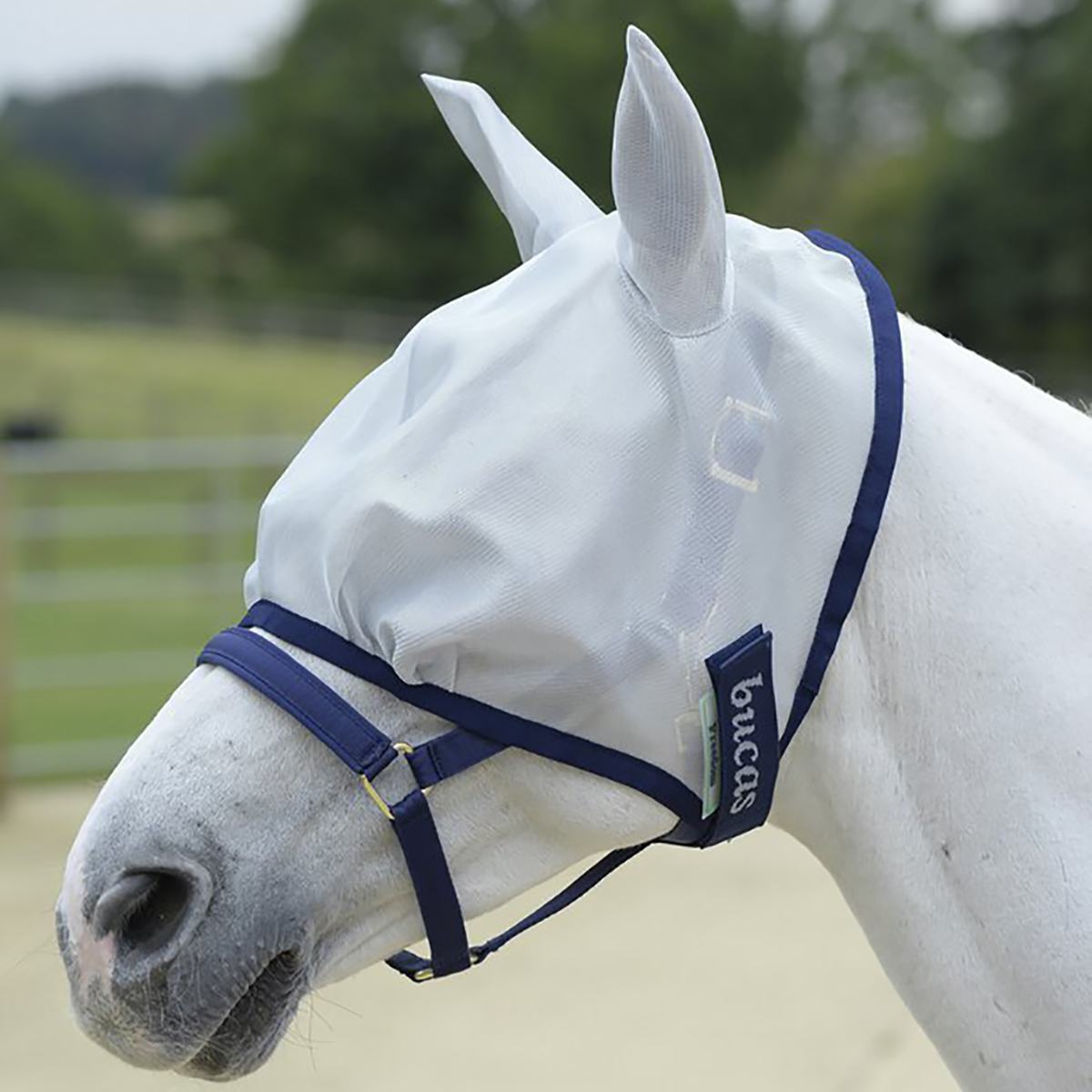 Flugmask Freedom Fly Bucas