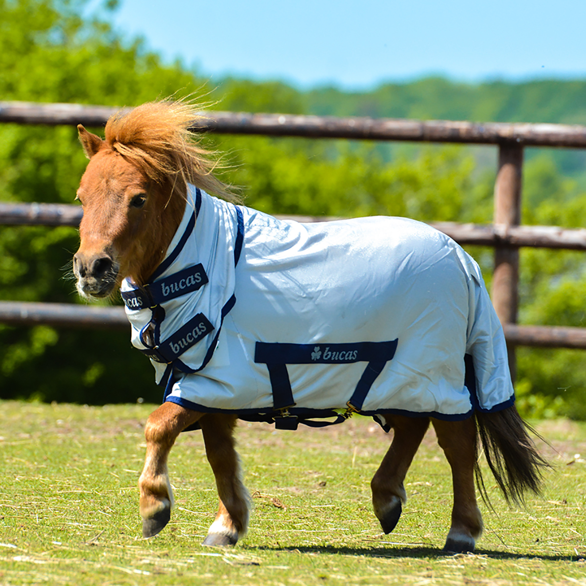 Fluedækken Freedom Fly pony Bucas