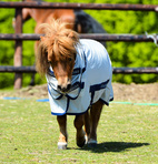 Fluedækken Freedom Fly pony Bucas