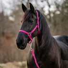 Grimma & grimskaft Basel