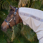 Amigo Bug Buster Hood