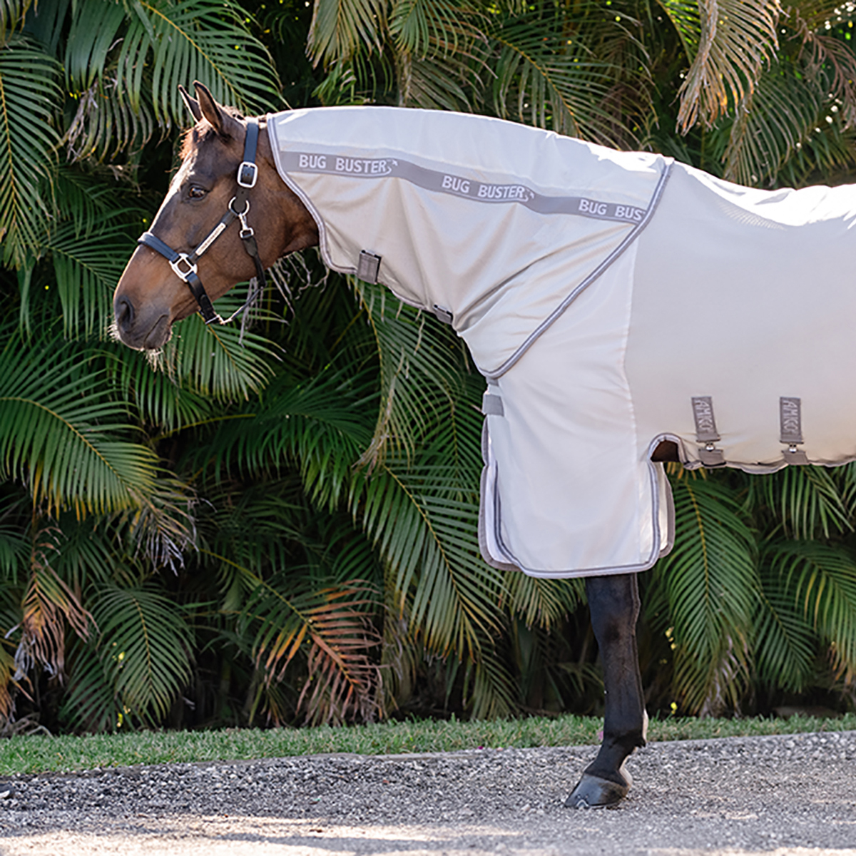 Amigo Bug Buster Hood