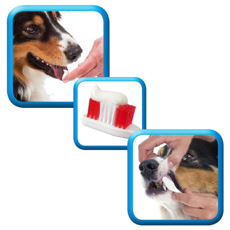 Tandkräm med enzymer