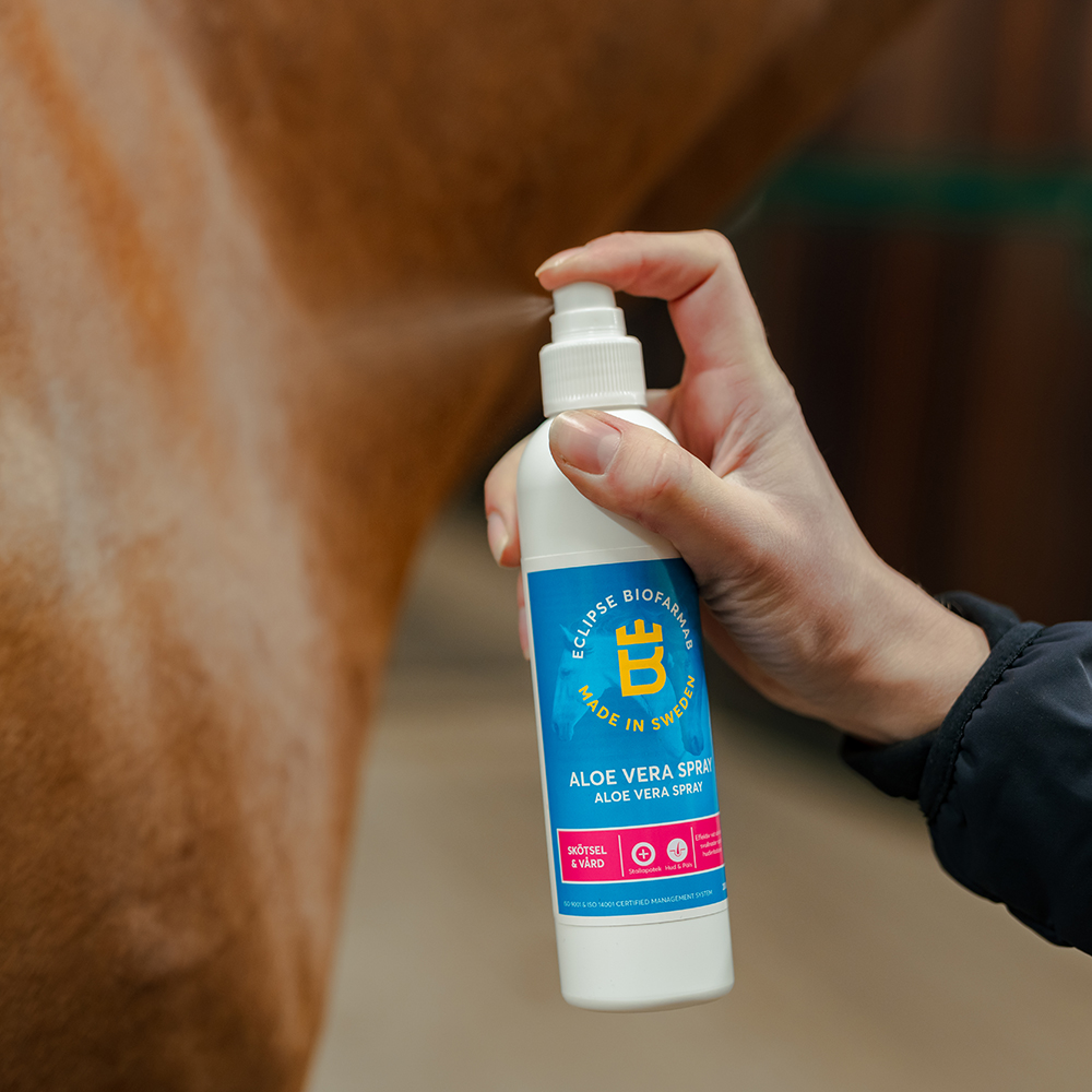 Aloe vera spray