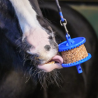 Likit GranoLo Slicksten äpple 400 g