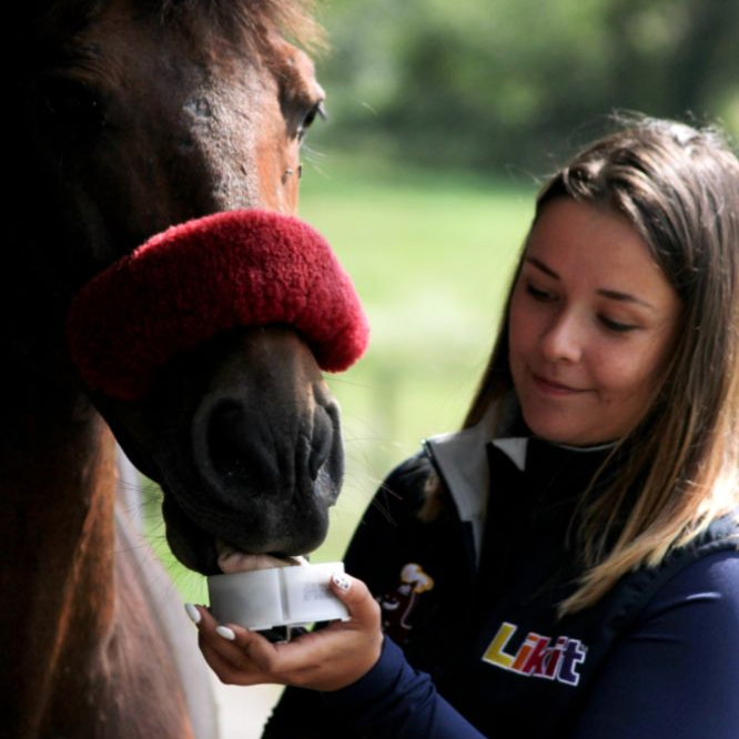 Likit little Slicksten 250 g