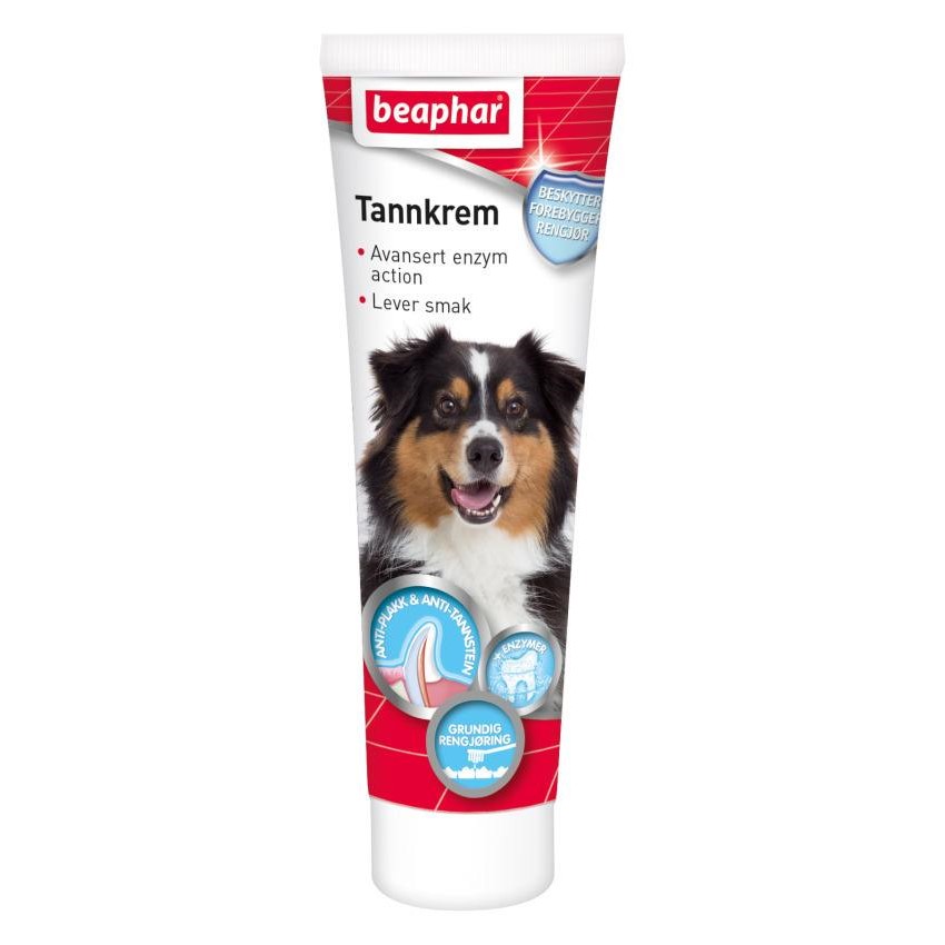 Tandkräm med enzymer