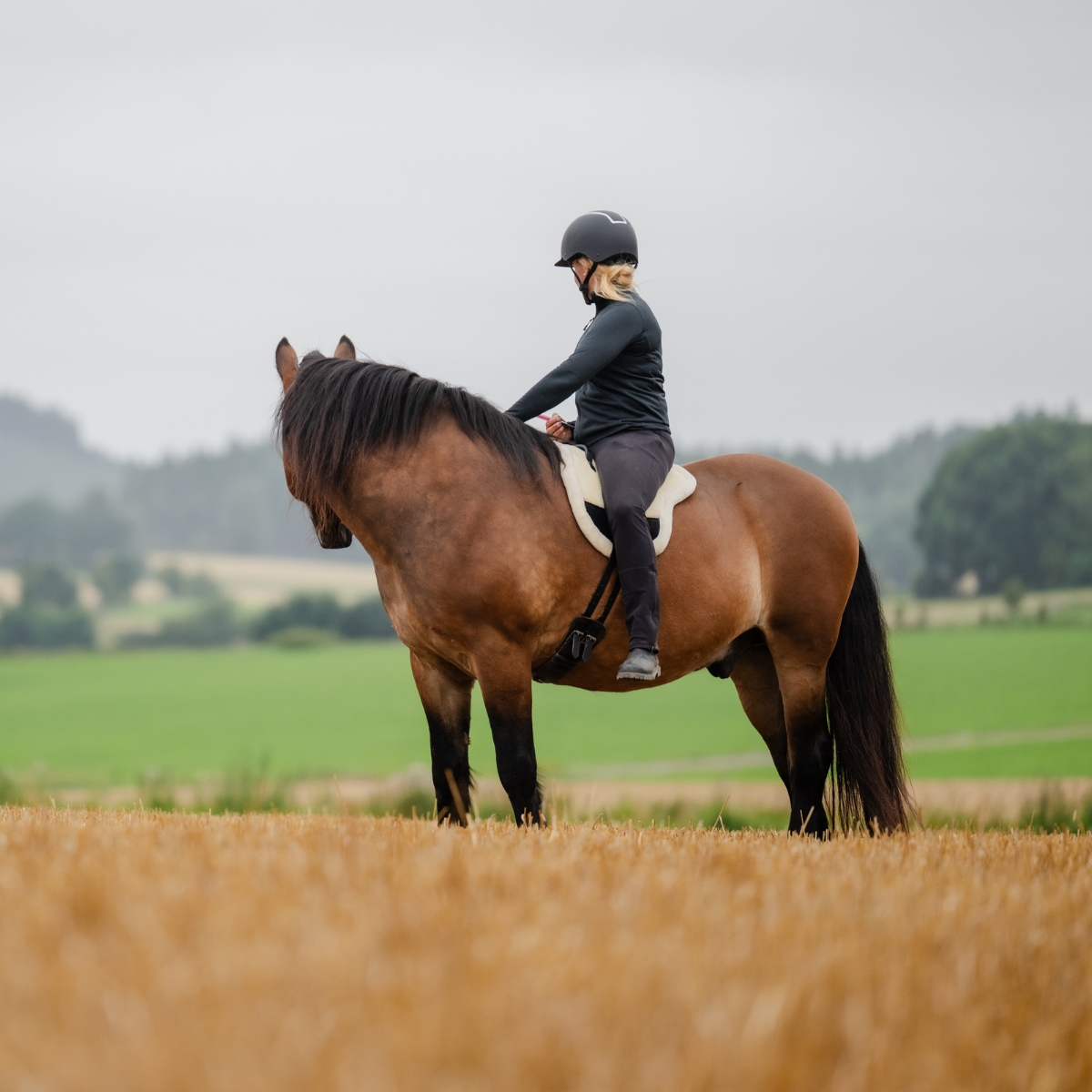 F.R.A Bareback pad Bisco