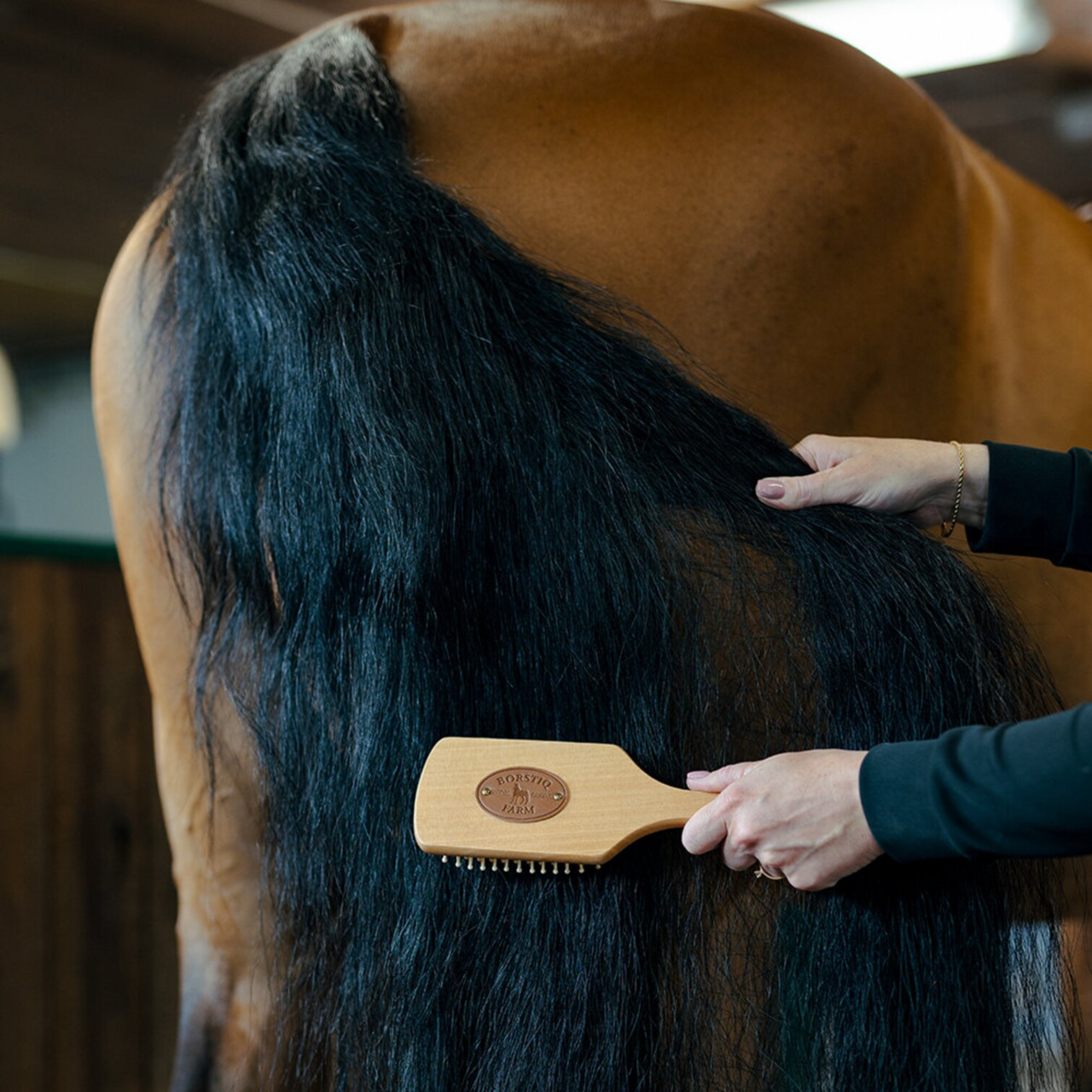 Man/svansborste Trä brostiq