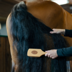 Man/svansborste Trä brostiq