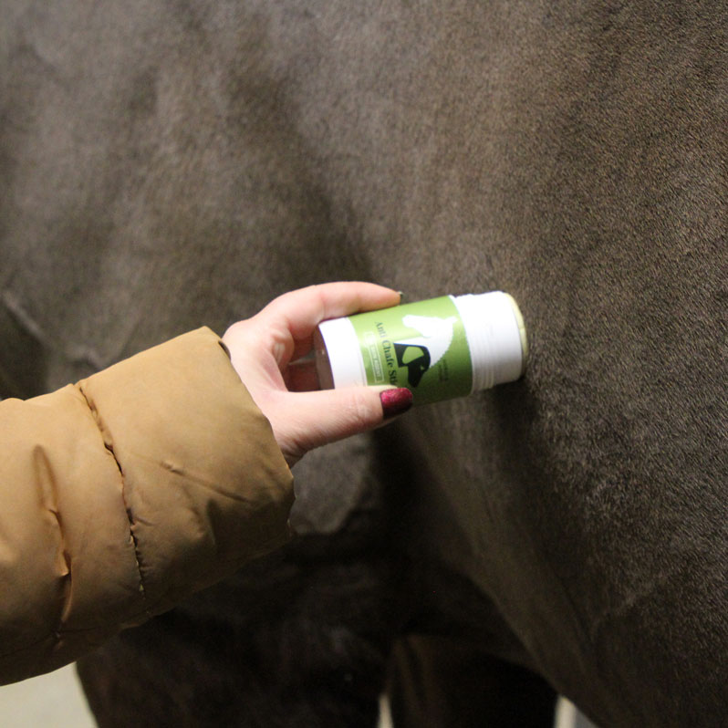 Skavsårs stift Anti Chafe Horse&Hound 75 ml