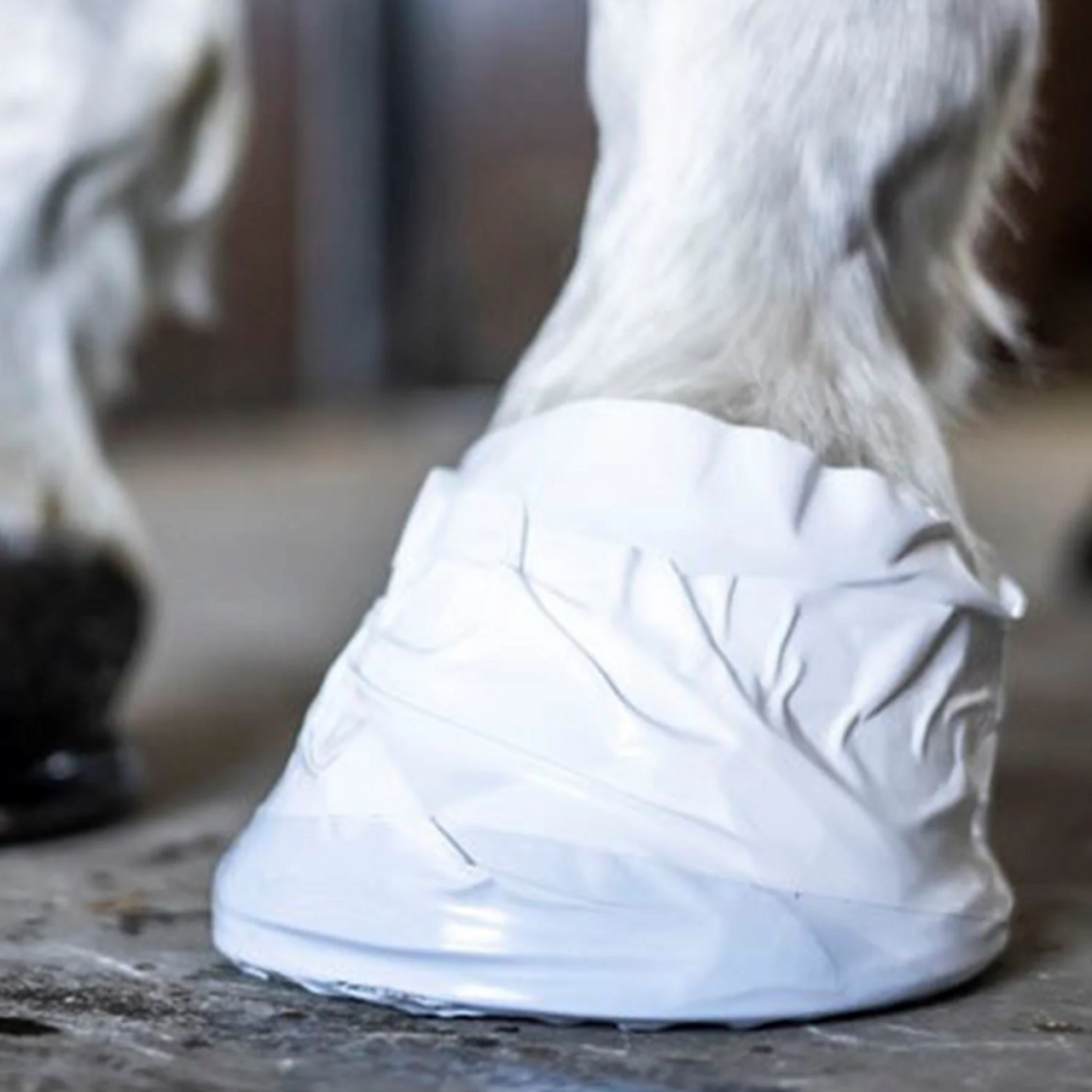 Hov - & Dyrlægetejp