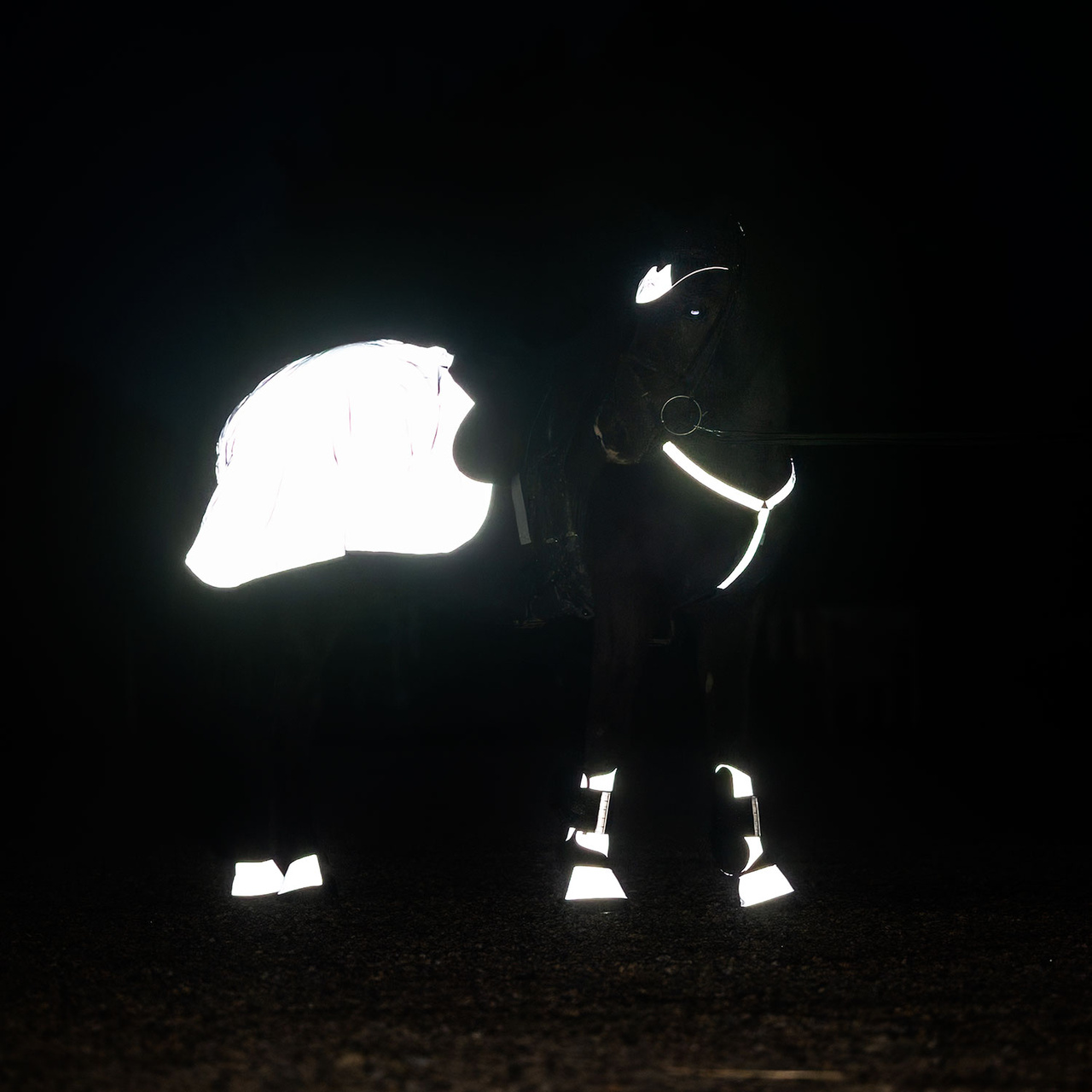 Reflex Brösta Flash