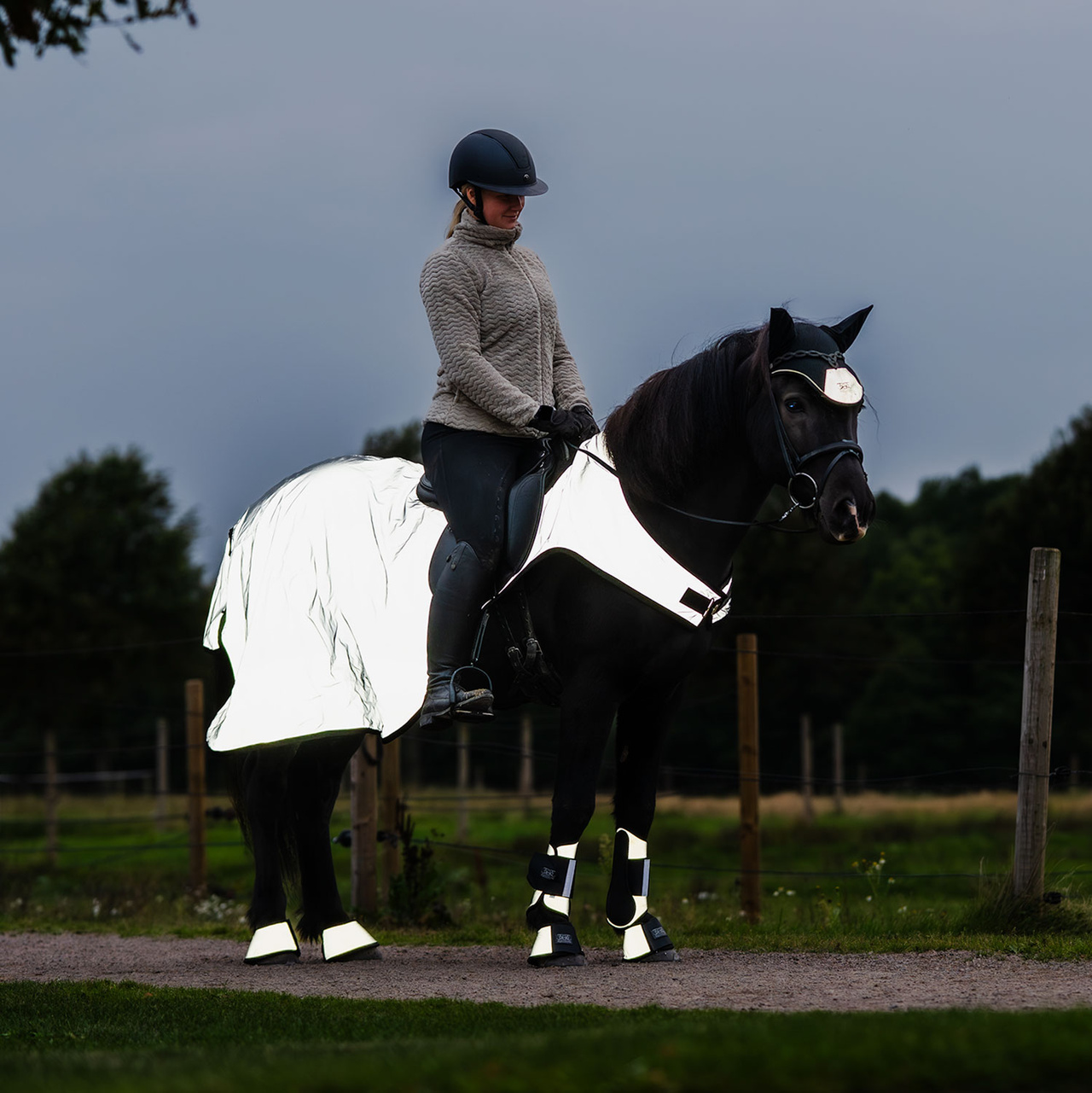 Reflex Ridhuva Flash