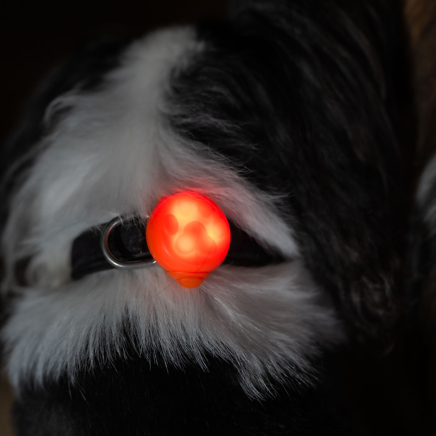 Hänge LED-ljus Notice