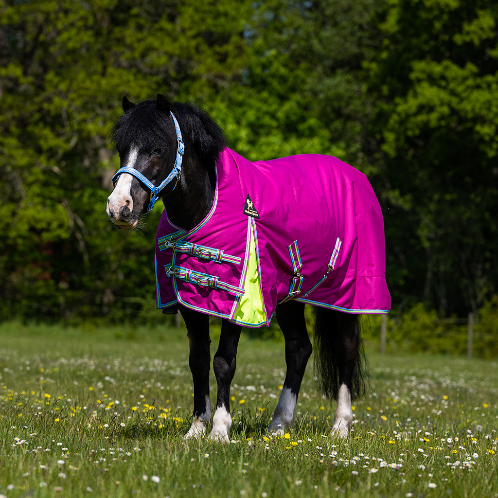 Utegångstäcke Tarzan 200 g