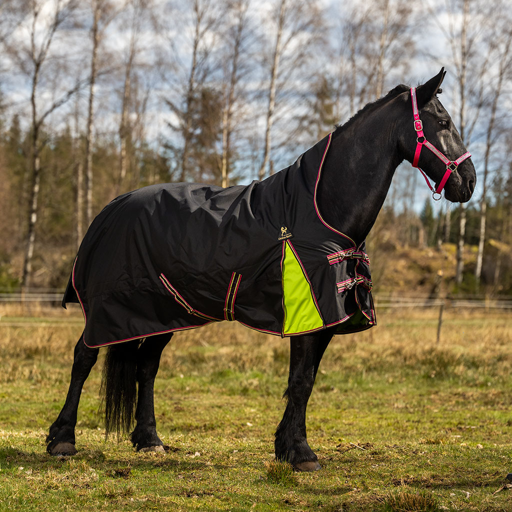 Utegångstäcke Tarzan 200 g