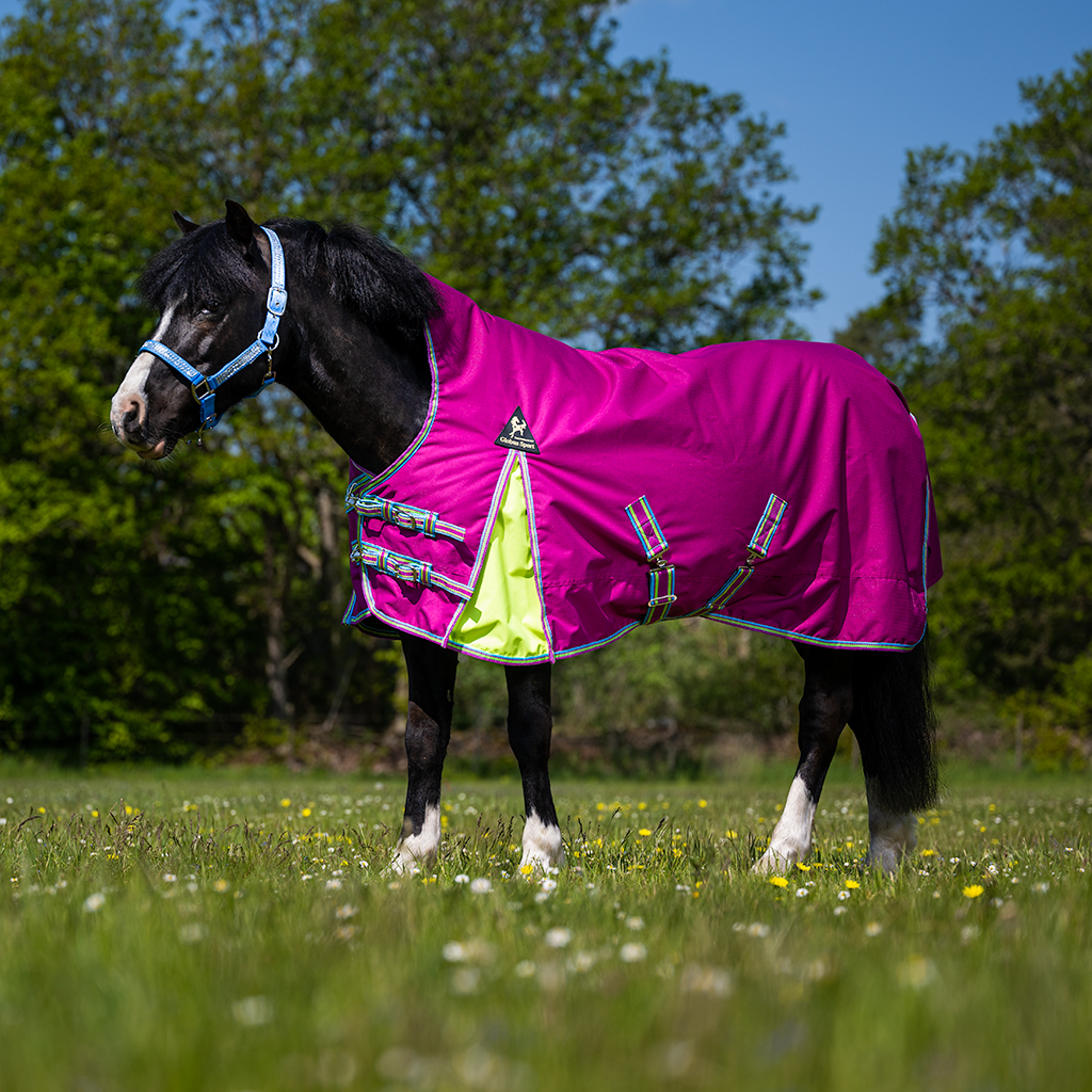 Utegångstäcke Tarzan 100 g