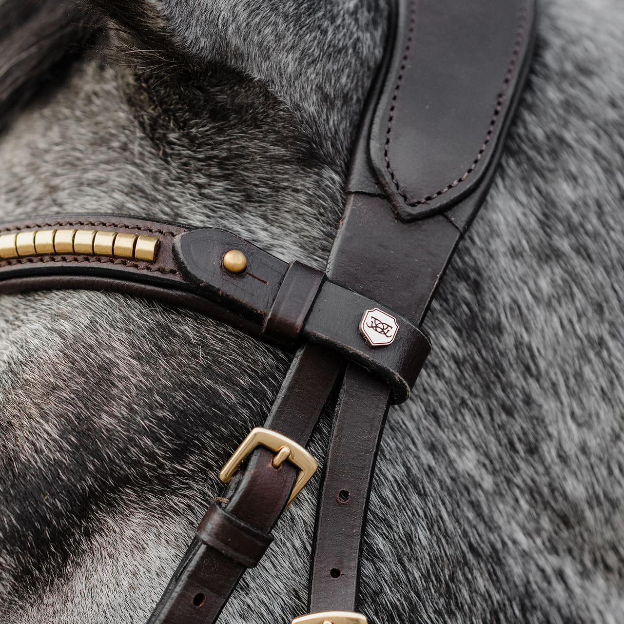 Bettlöst Träns Relief