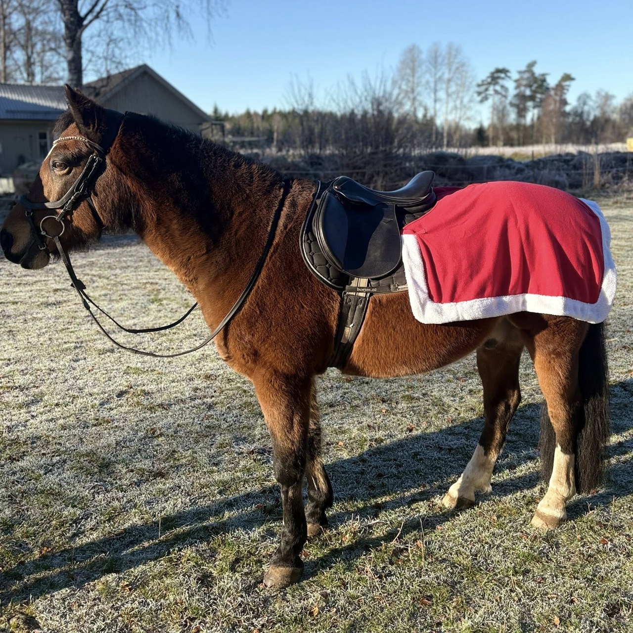 Ländtäcke Xmas