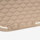 Dressyrschabrak Bridgend