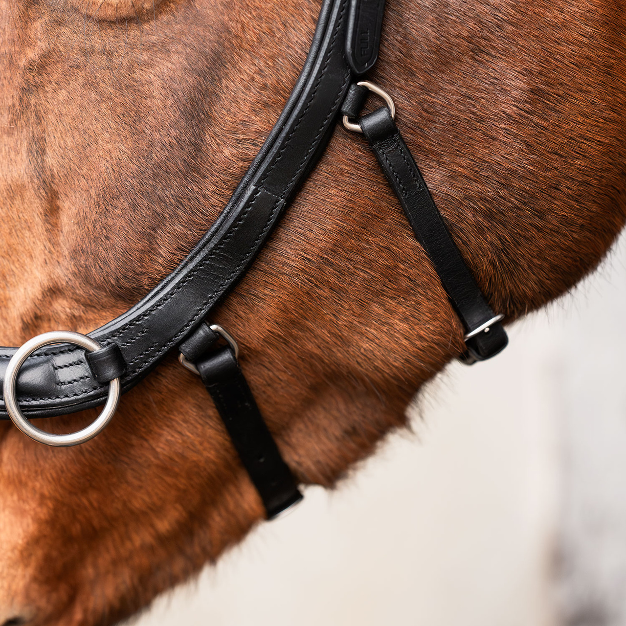 Bettlöst Träns Glam