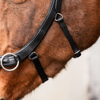 Bettlöst Träns Glam