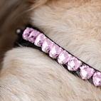 Ponnyträns Tingeling