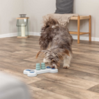 AKTIVITETSBRÆT NIVEAU 1