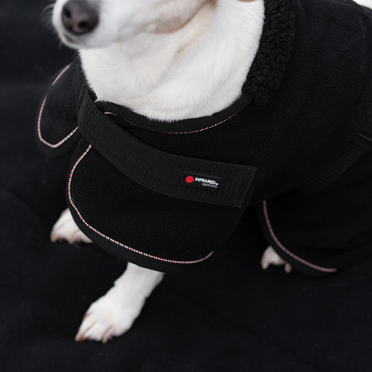 Hundfleecetäcke Therapy Infra