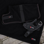 Hundsele Therapy Infra