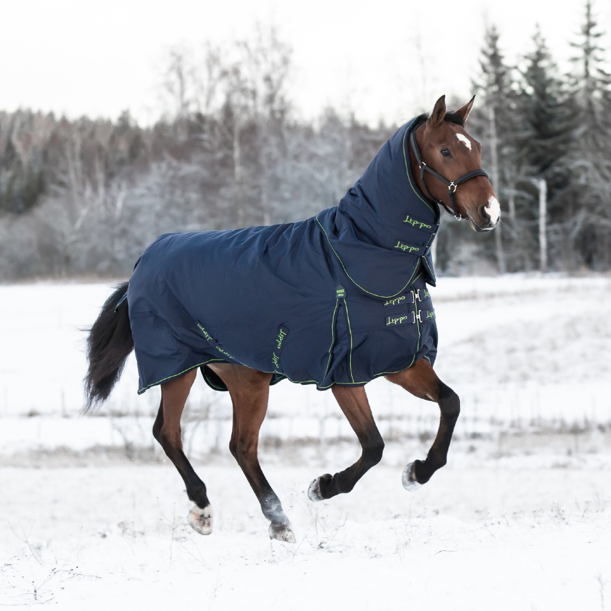 Utegångstäcke Basic Plus 400 g