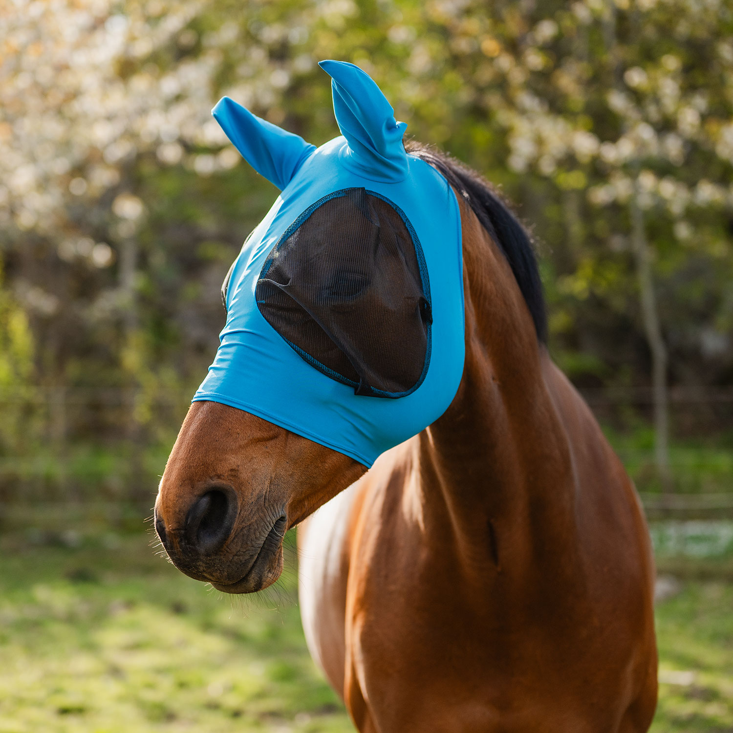 Flugmask San Juan