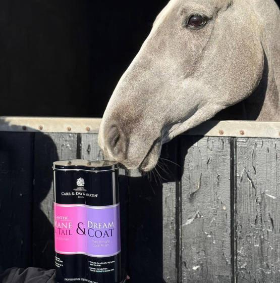 Grooming Duo tin