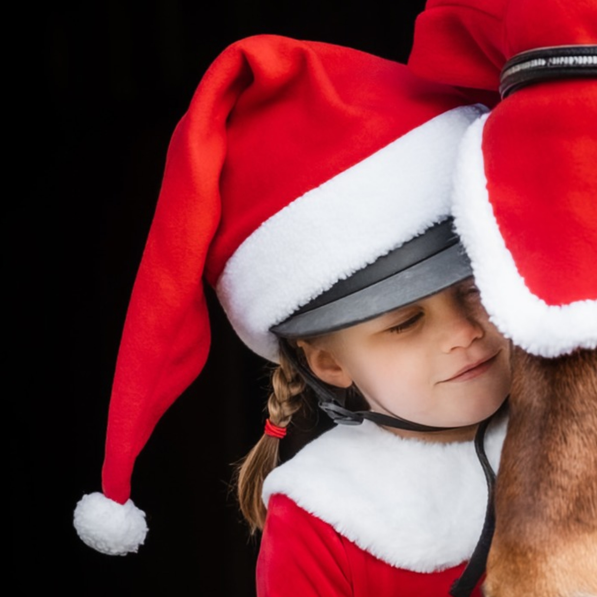 Tomteluva Santa