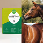 Horse Skin & Coat