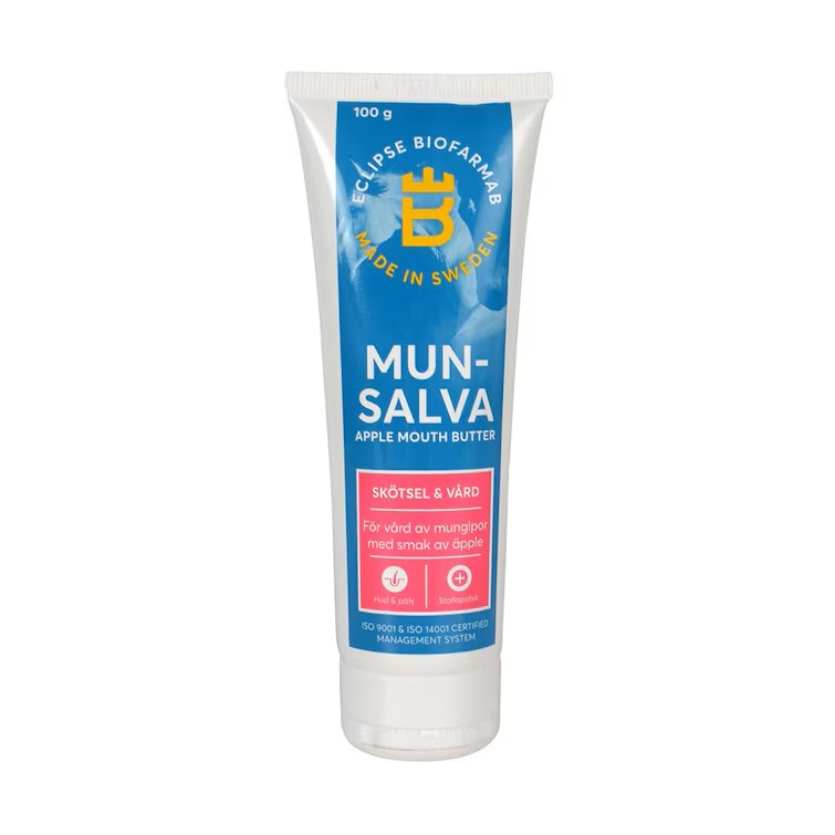 Munsalva