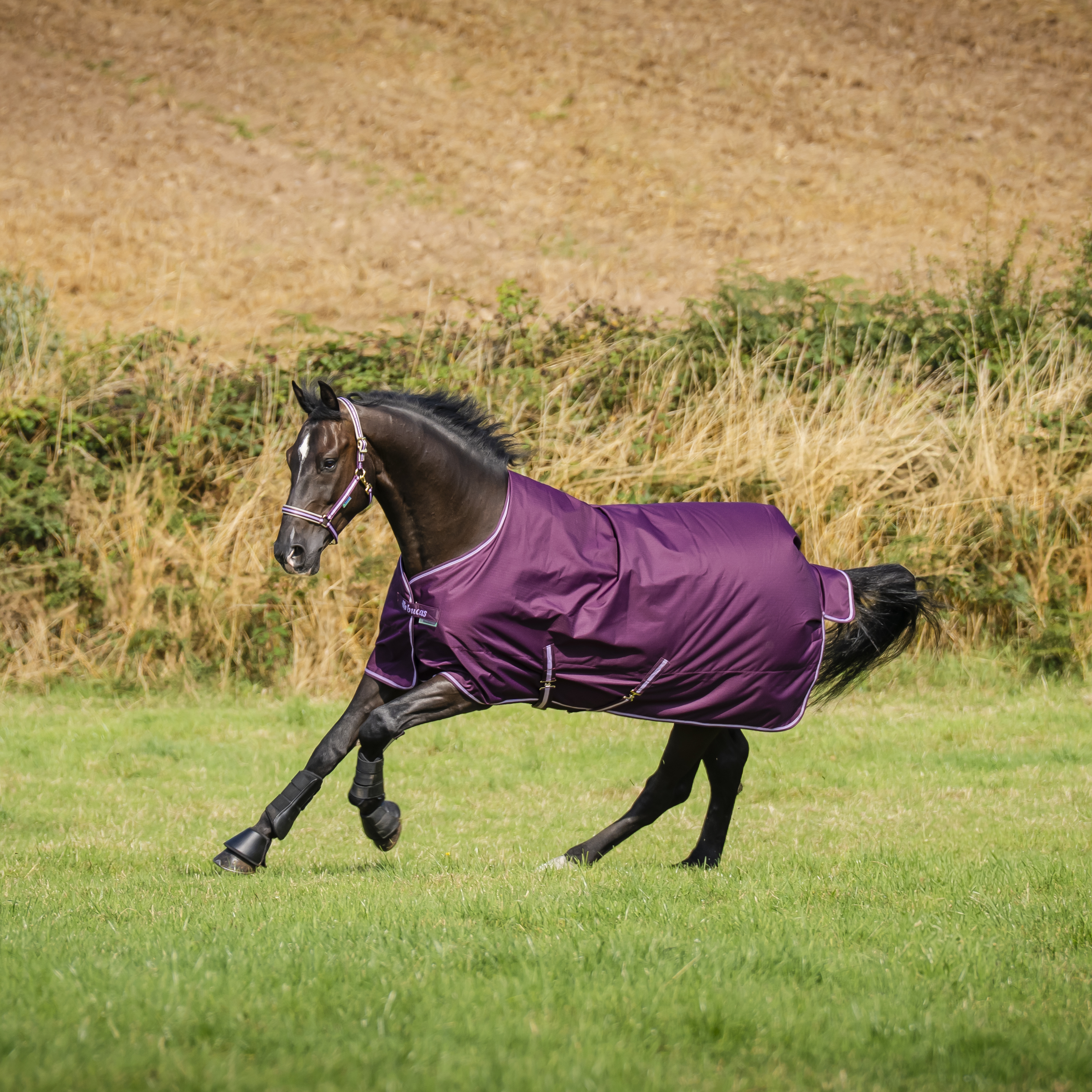 Vintertäcke Freedom Turnout 300 g